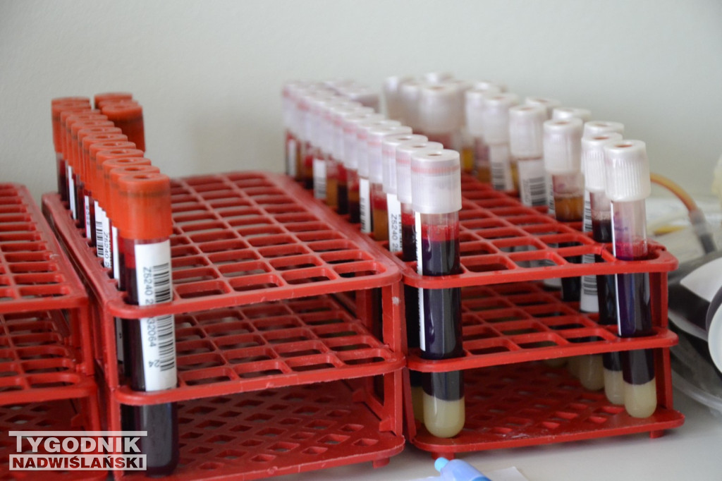 Mikołajkowa zbiórka krwi z WORD