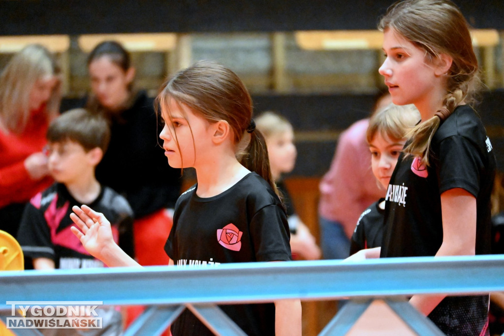 Sportowe Mikołajki na hali w Tarnobrzegu