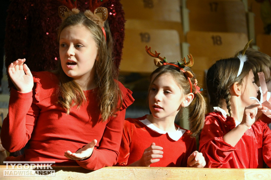 Sportowe Mikołajki na hali w Tarnobrzegu