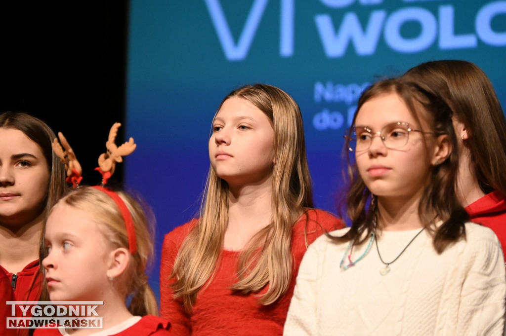 VI Gala Wolontariatu w Nowej Dębie