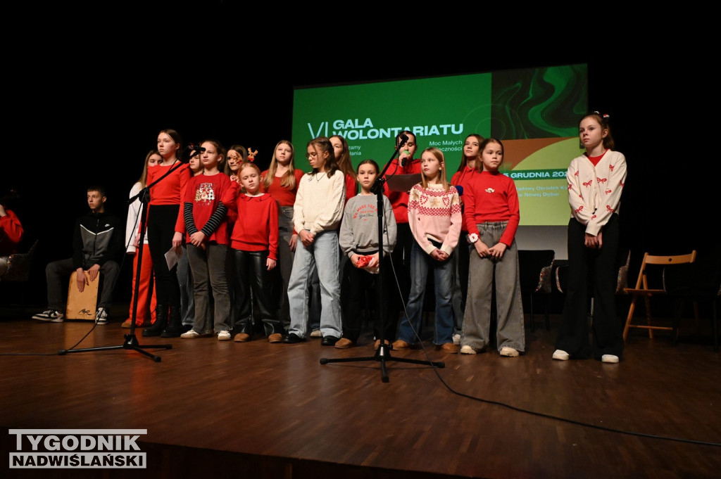 VI Gala Wolontariatu w Nowej Dębie