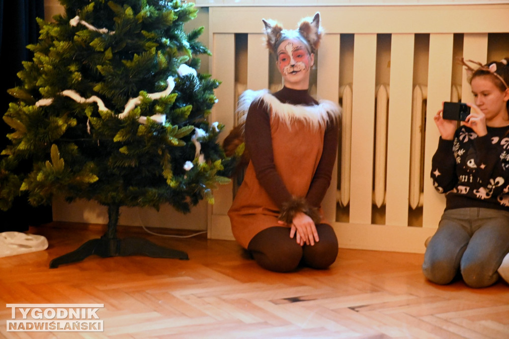 Mikołajkowe widowisko w Przedszkolu nr 6 w Tarnobrzegu