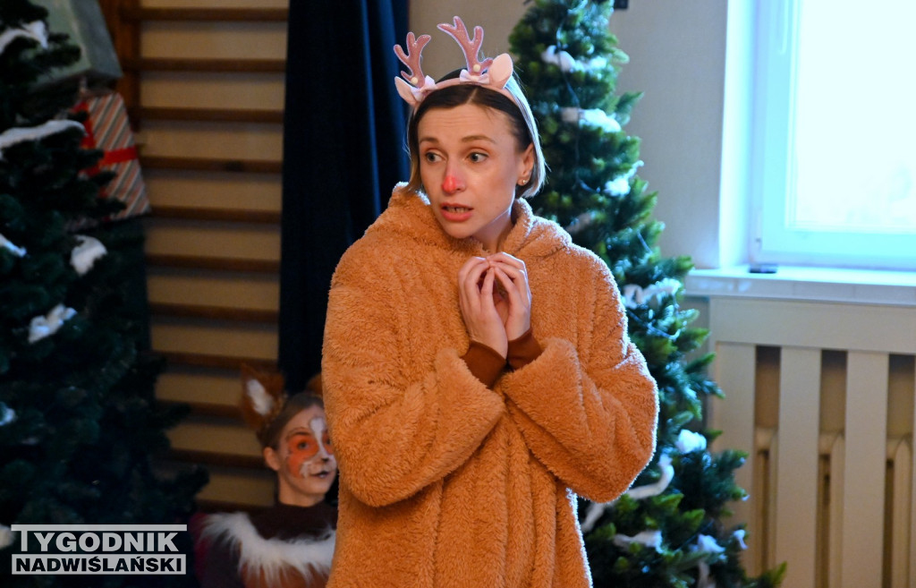 Mikołajkowe widowisko w Przedszkolu nr 6 w Tarnobrzegu