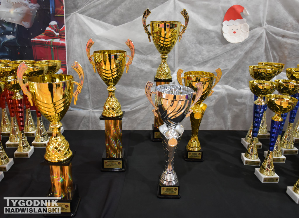 12. Ogólnopolski Mikołajkowy Turniej Karate WKB