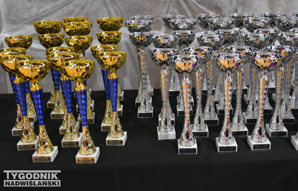 12. Ogólnopolski Mikołajkowy Turniej Karate WKB