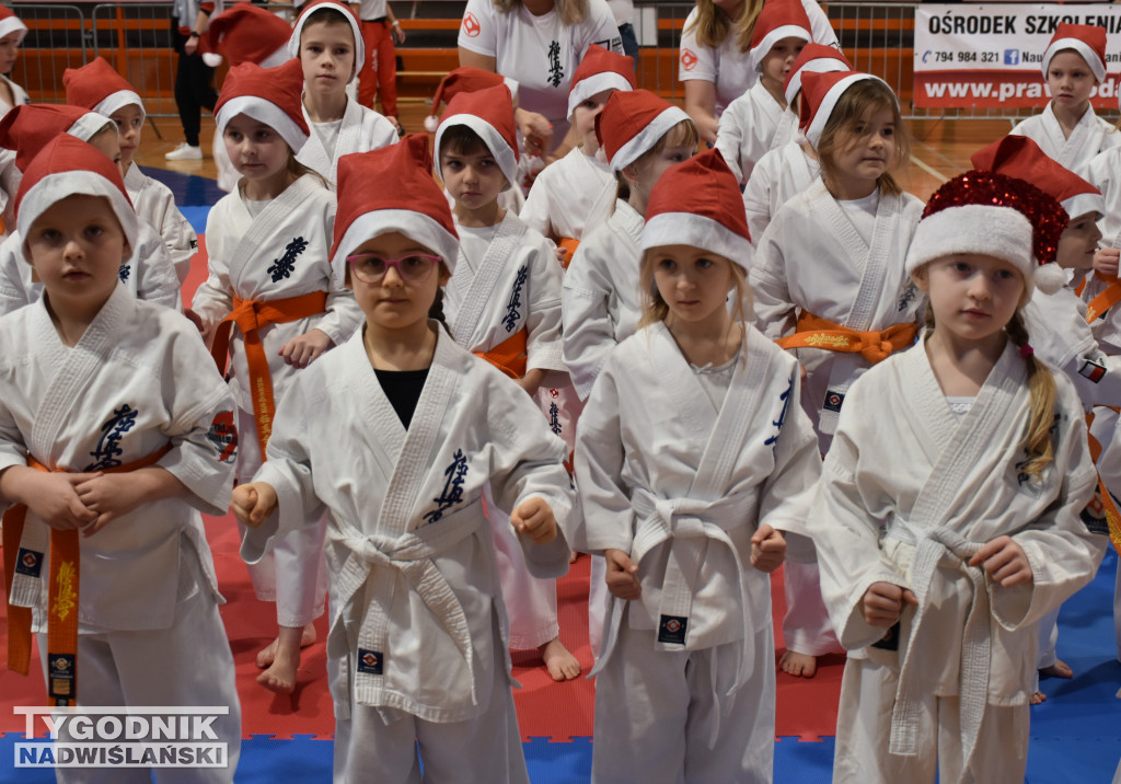 12. Ogólnopolski Mikołajkowy Turniej Karate WKB