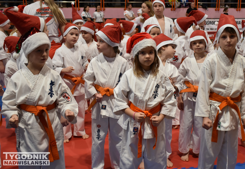 12. Ogólnopolski Mikołajkowy Turniej Karate WKB