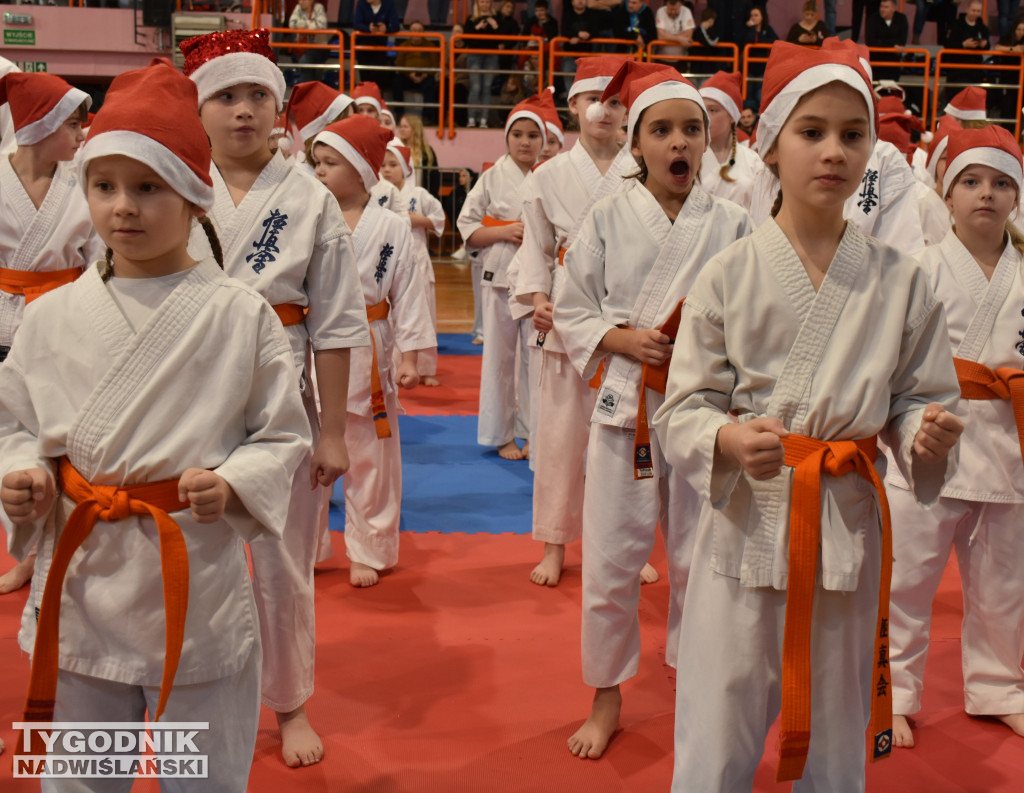 12. Ogólnopolski Mikołajkowy Turniej Karate WKB