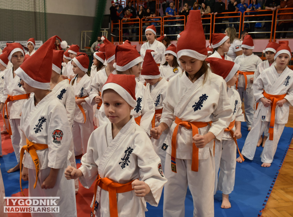 12. Ogólnopolski Mikołajkowy Turniej Karate WKB