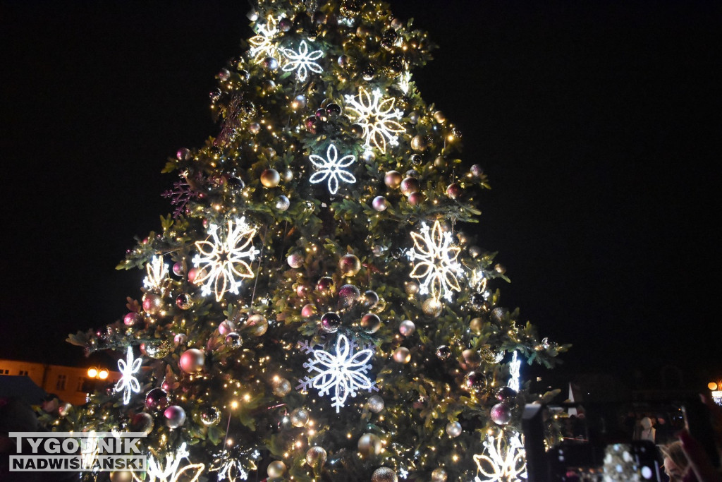 Rozświetlenie tarnobrzeskiej choinki 2025