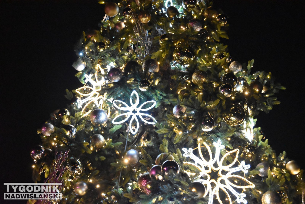 Rozświetlenie tarnobrzeskiej choinki 2025