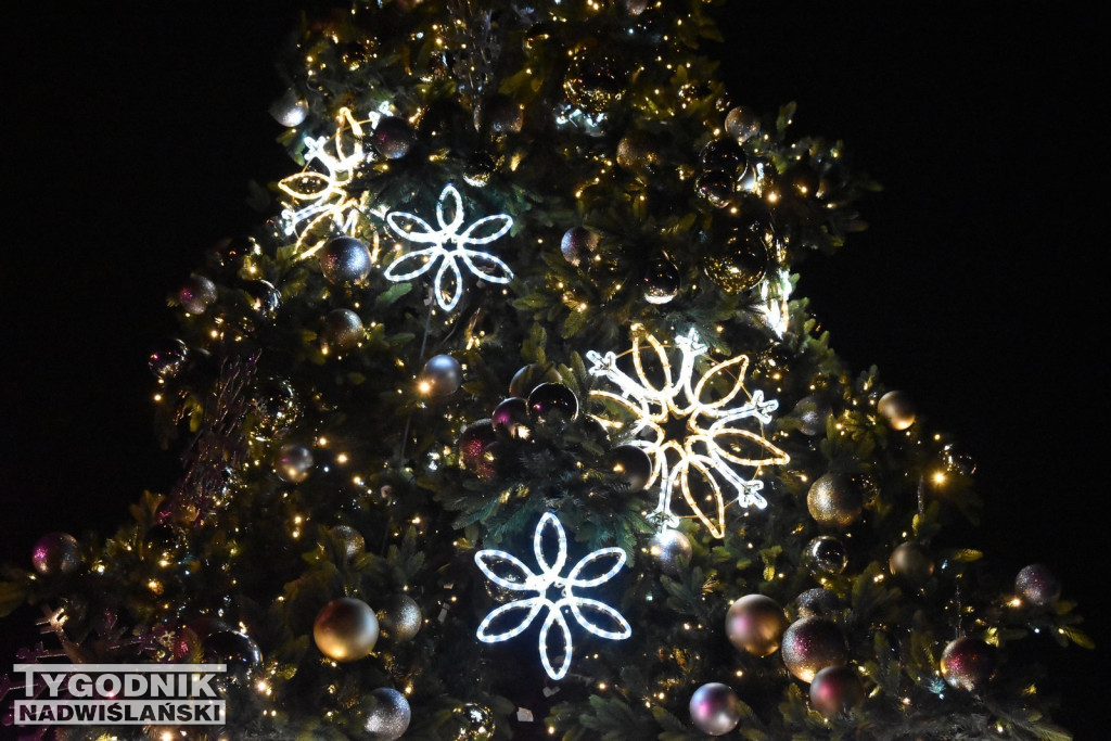 Rozświetlenie tarnobrzeskiej choinki 2025