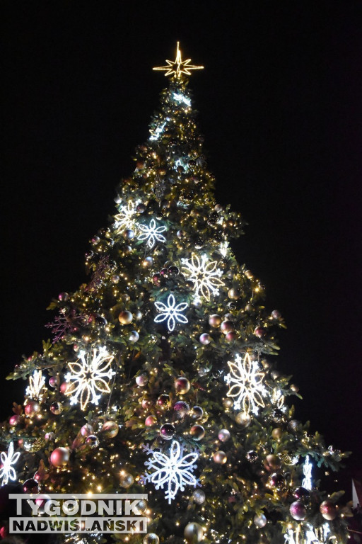 Rozświetlenie tarnobrzeskiej choinki 2025