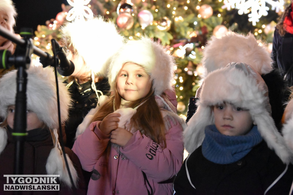 Rozświetlenie tarnobrzeskiej choinki 2025