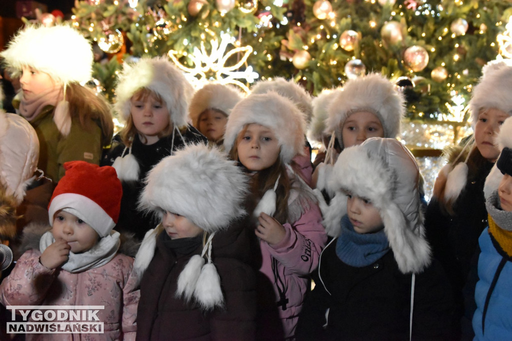 Rozświetlenie tarnobrzeskiej choinki 2025