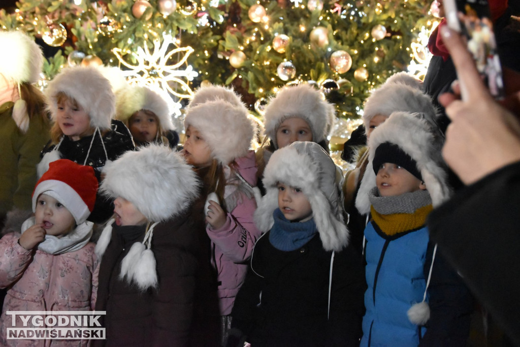 Rozświetlenie tarnobrzeskiej choinki 2025