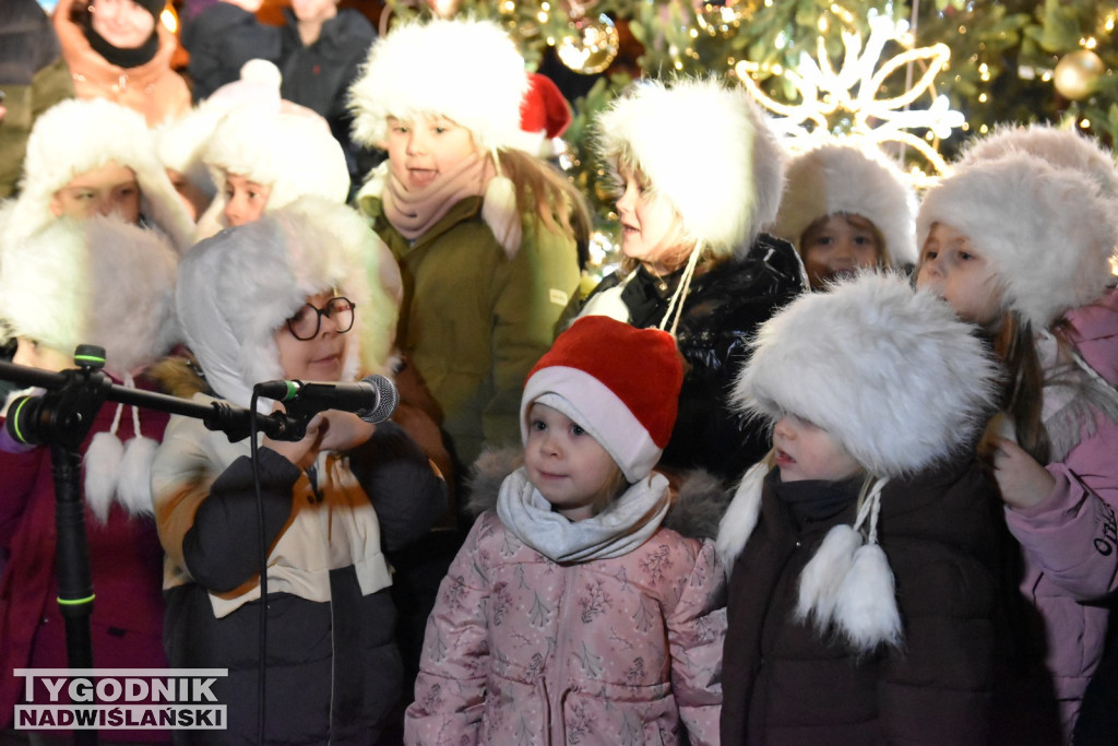 Rozświetlenie tarnobrzeskiej choinki 2025