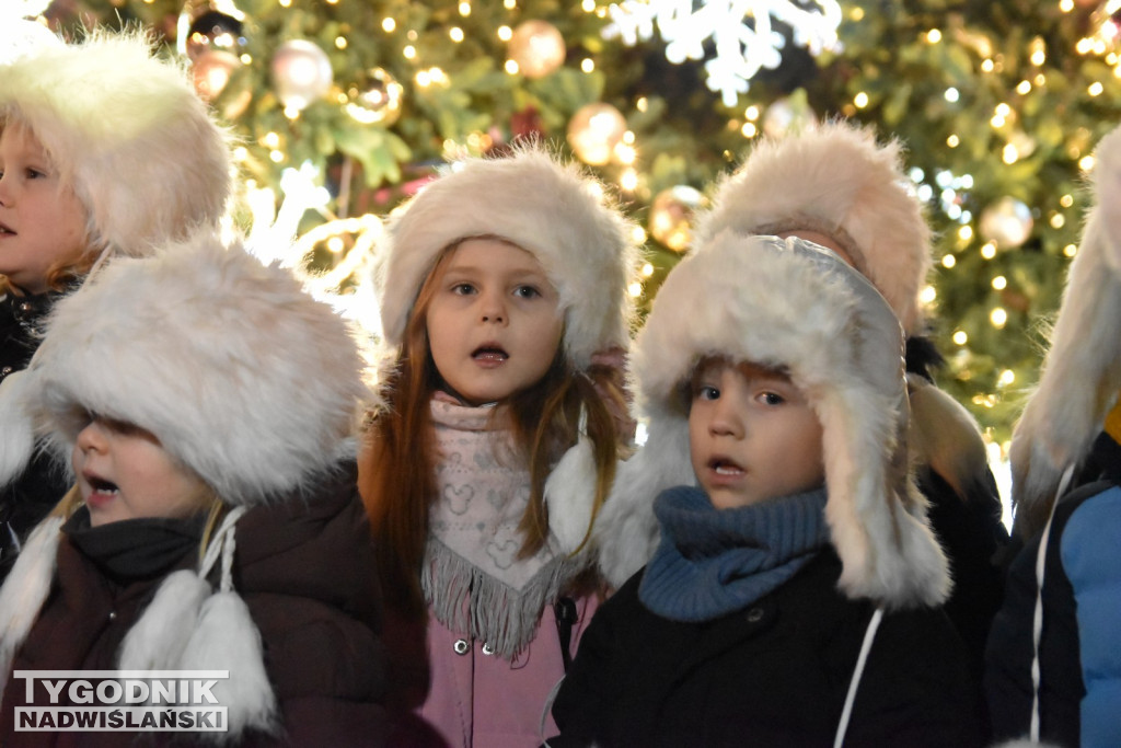 Rozświetlenie tarnobrzeskiej choinki 2025