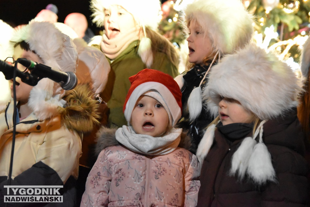 Rozświetlenie tarnobrzeskiej choinki 2025