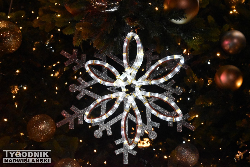 Rozświetlenie tarnobrzeskiej choinki 2025