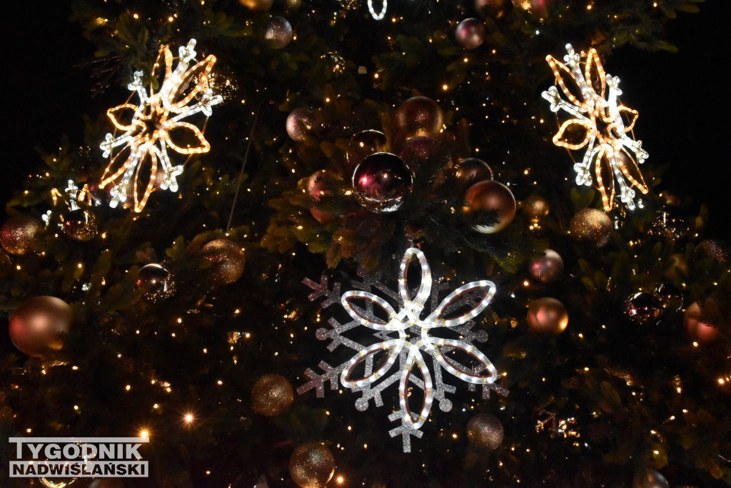 Rozświetlenie tarnobrzeskiej choinki 2025