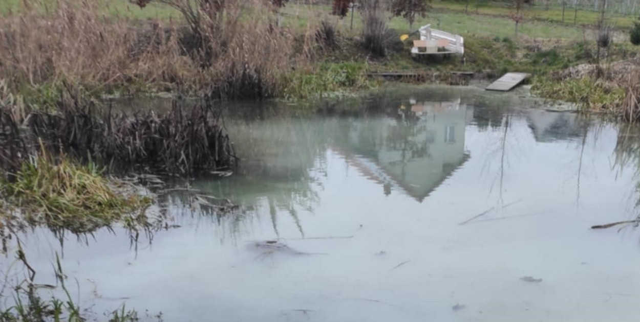 Zanieczyszczona rzeka w gminie Samborzec