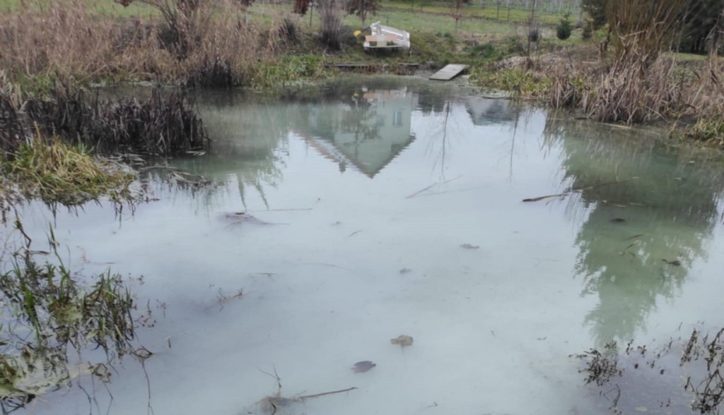 Zanieczyszczona rzeka w gminie Samborzec