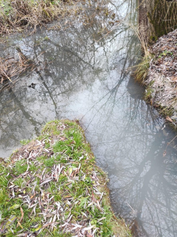 Zanieczyszczona rzeka w gminie Samborzec