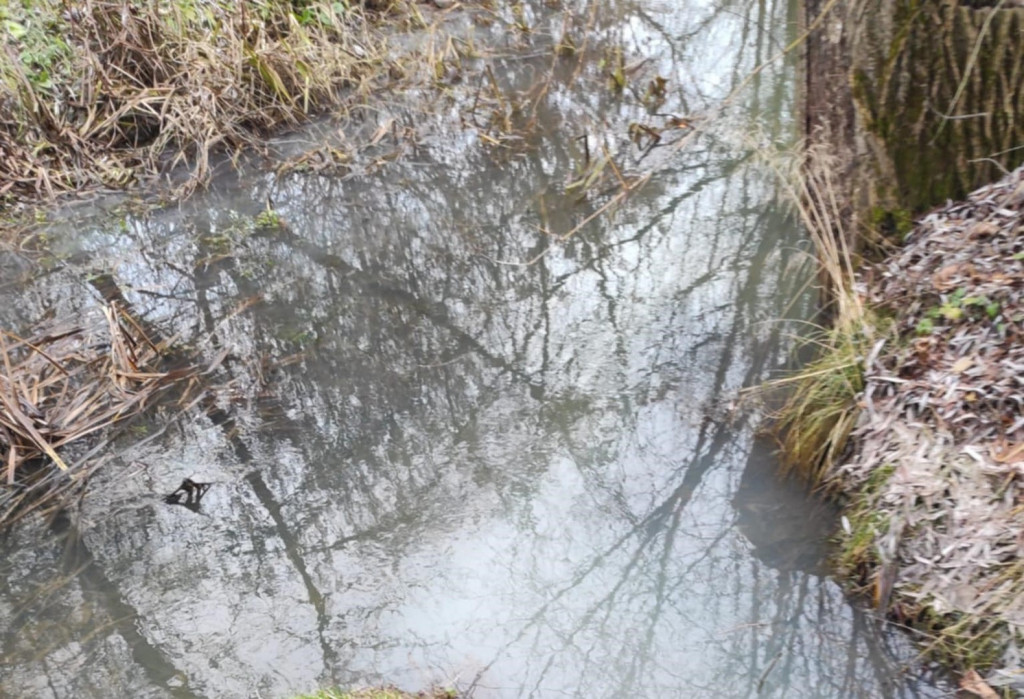 Zanieczyszczona rzeka w gminie Samborzec