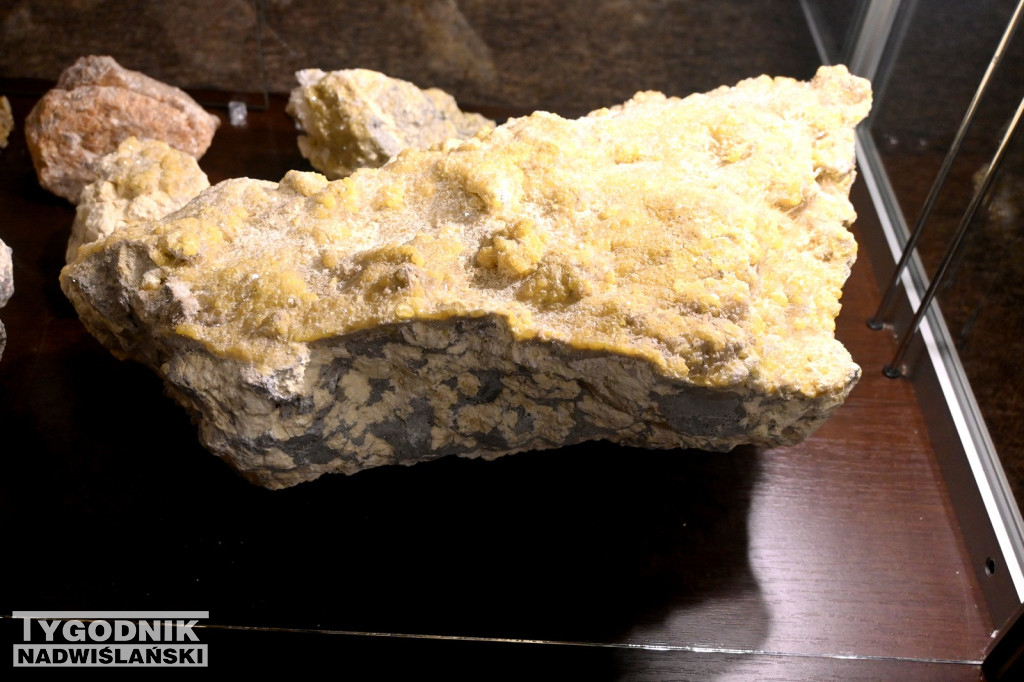 Barbórkowa Noc Muzealna 2025 w Tarnobrzegu