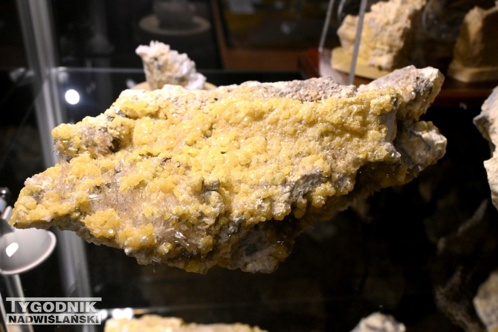 Barbórkowa Noc Muzealna 2025 w Tarnobrzegu