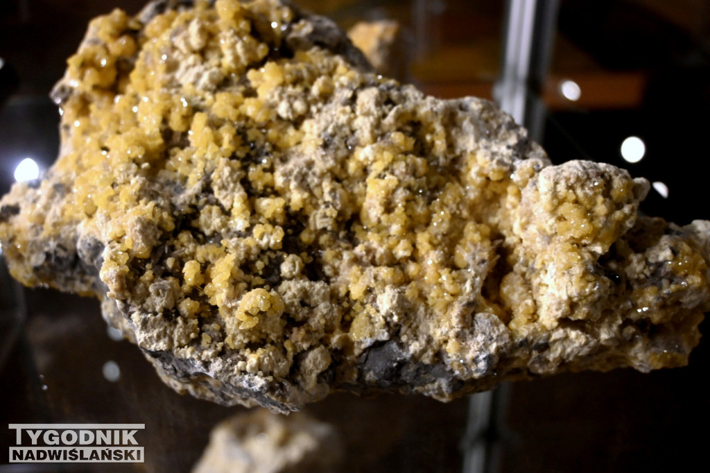 Barbórkowa Noc Muzealna 2025 w Tarnobrzegu