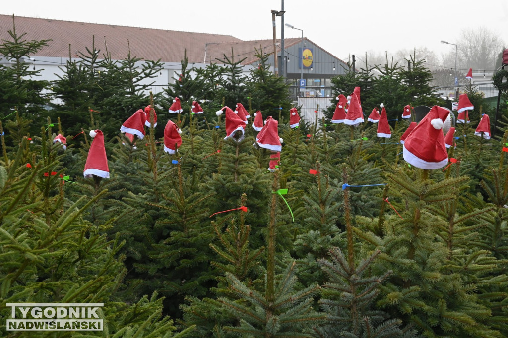 Rozdaliśmy choinki – świąteczna zabawa rozstrzygnięta