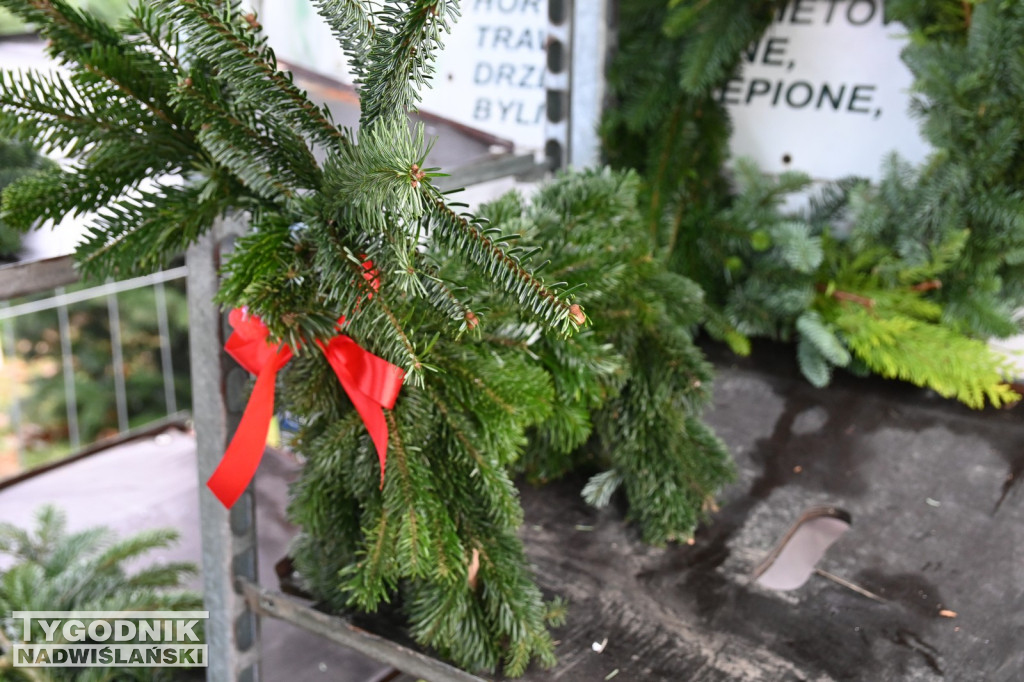 Rozdaliśmy choinki – świąteczna zabawa rozstrzygnięta