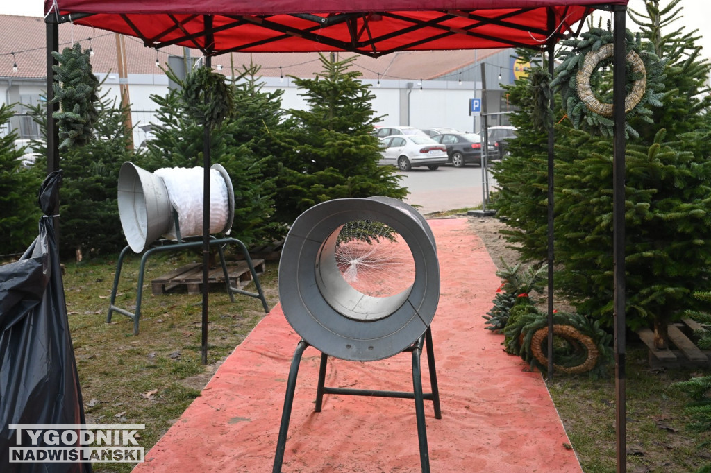 Rozdaliśmy choinki – świąteczna zabawa rozstrzygnięta