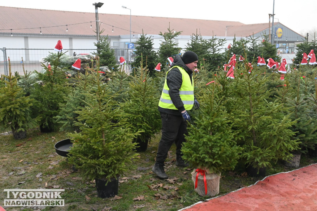 Rozdaliśmy choinki – świąteczna zabawa rozstrzygnięta