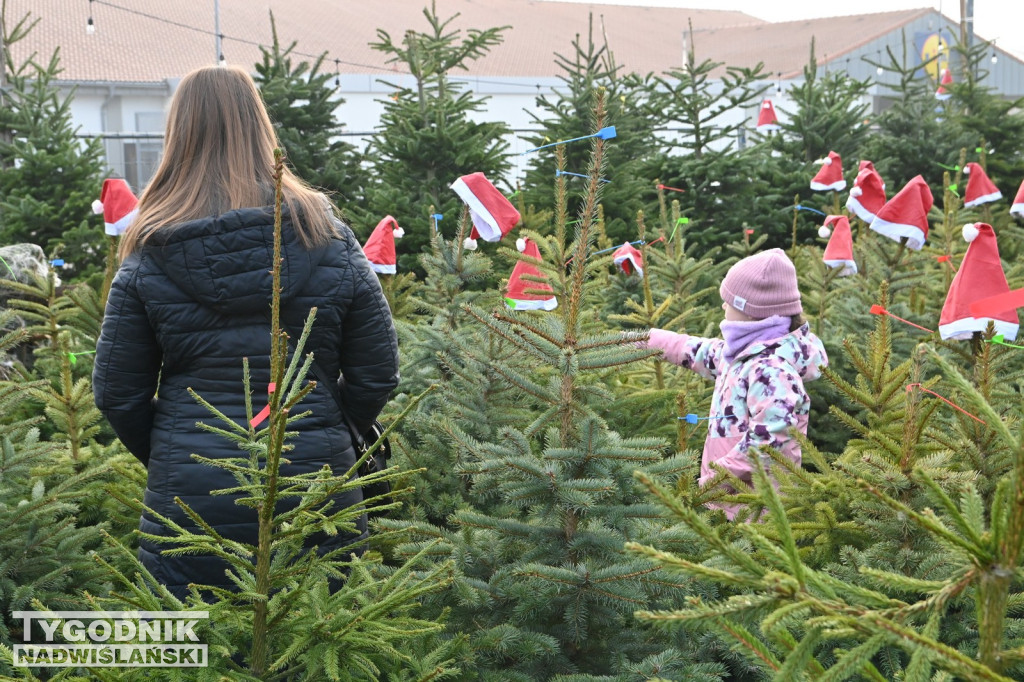 Rozdaliśmy choinki – świąteczna zabawa rozstrzygnięta