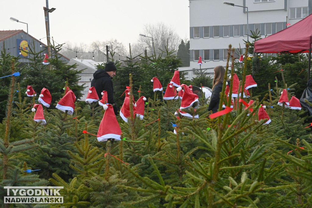 Rozdaliśmy choinki – świąteczna zabawa rozstrzygnięta