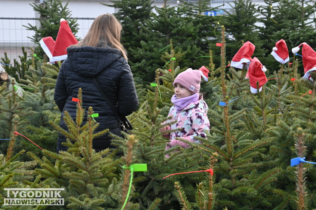 Rozdaliśmy choinki – świąteczna zabawa rozstrzygnięta