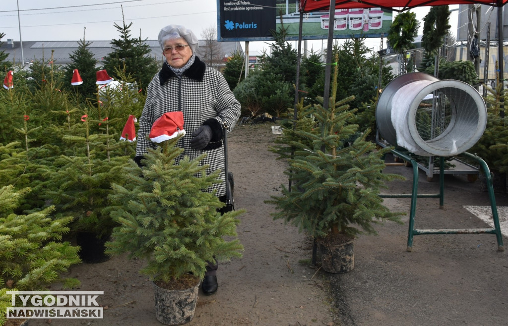 Rozdaliśmy choinki – świąteczna zabawa rozstrzygnięta