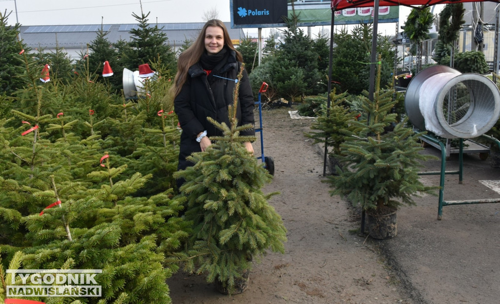 Rozdaliśmy choinki – świąteczna zabawa rozstrzygnięta