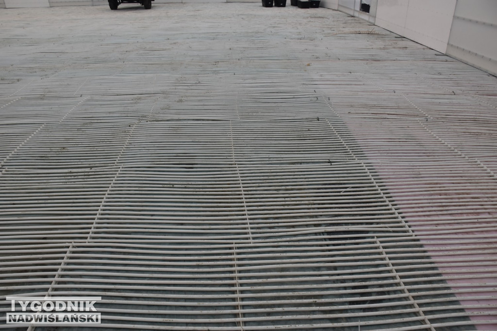 Lodowisko w Tarnobrzegu - stan na 19.12.2025 r.