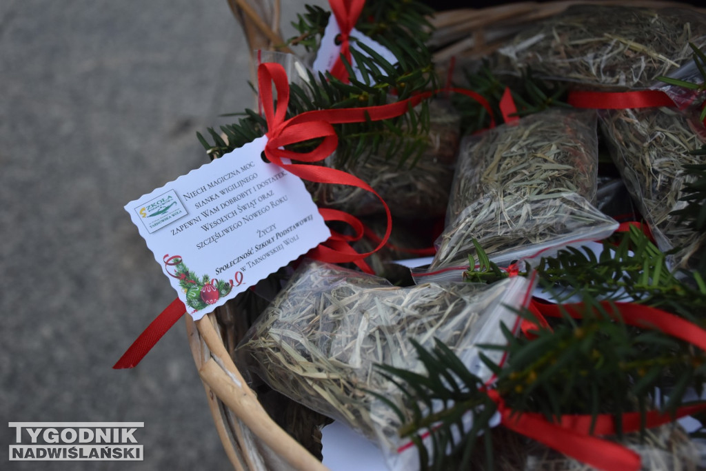 Jarmark Bożonarodzeniowy w Nowej Dębie