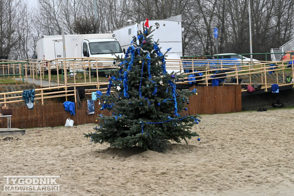 Choinka Body Mors Tarnobrzeg nad Jeziorem Tarnobrzeskim
