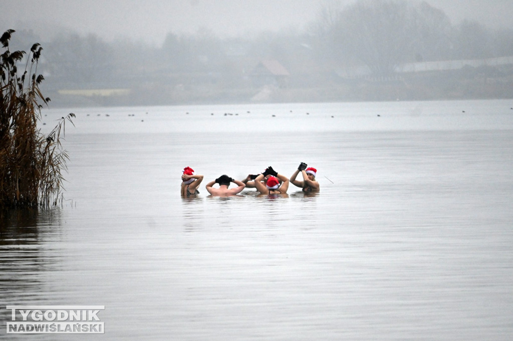 Choinka Body Mors Tarnobrzeg nad Jeziorem Tarnobrzeskim