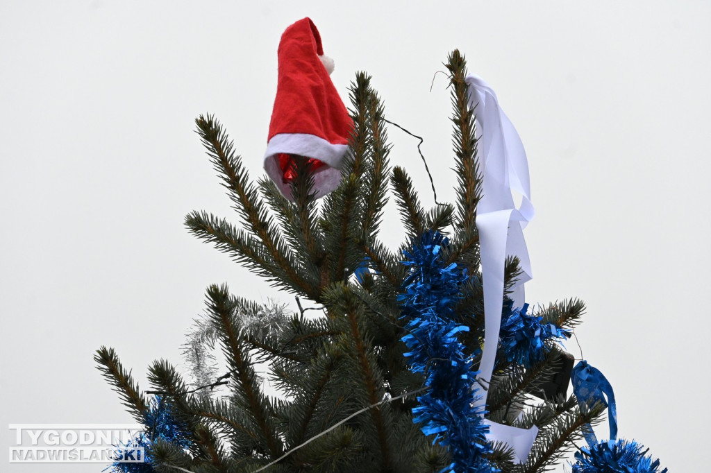 Choinka Body Mors Tarnobrzeg nad Jeziorem Tarnobrzeskim