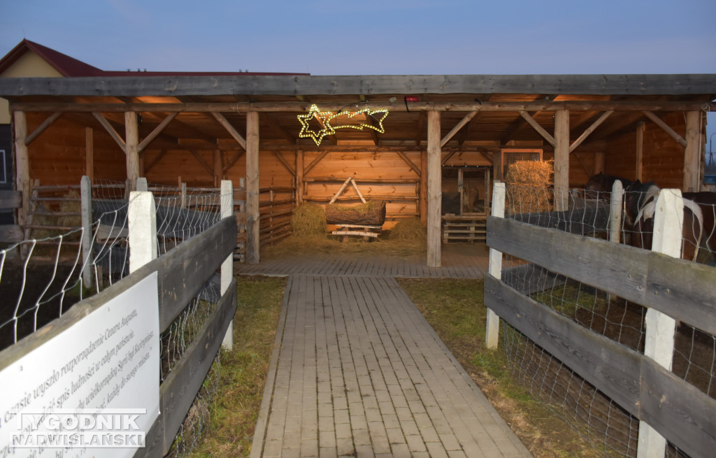 Otwarcie żywej szopki w Sandomierzu