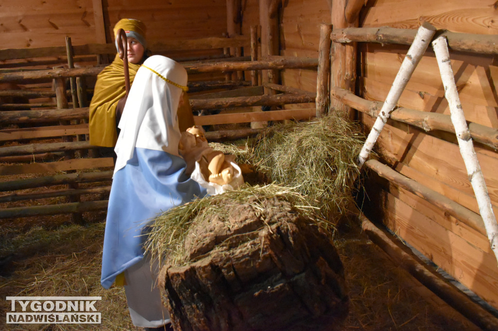 Otwarcie żywej szopki w Sandomierzu
