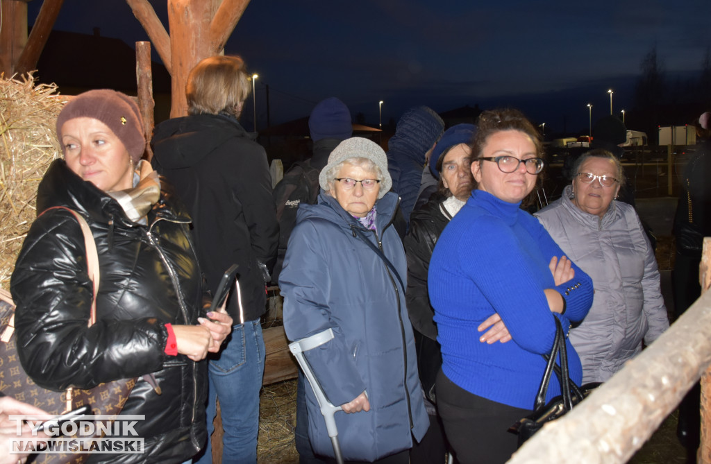 Otwarcie żywej szopki w Sandomierzu