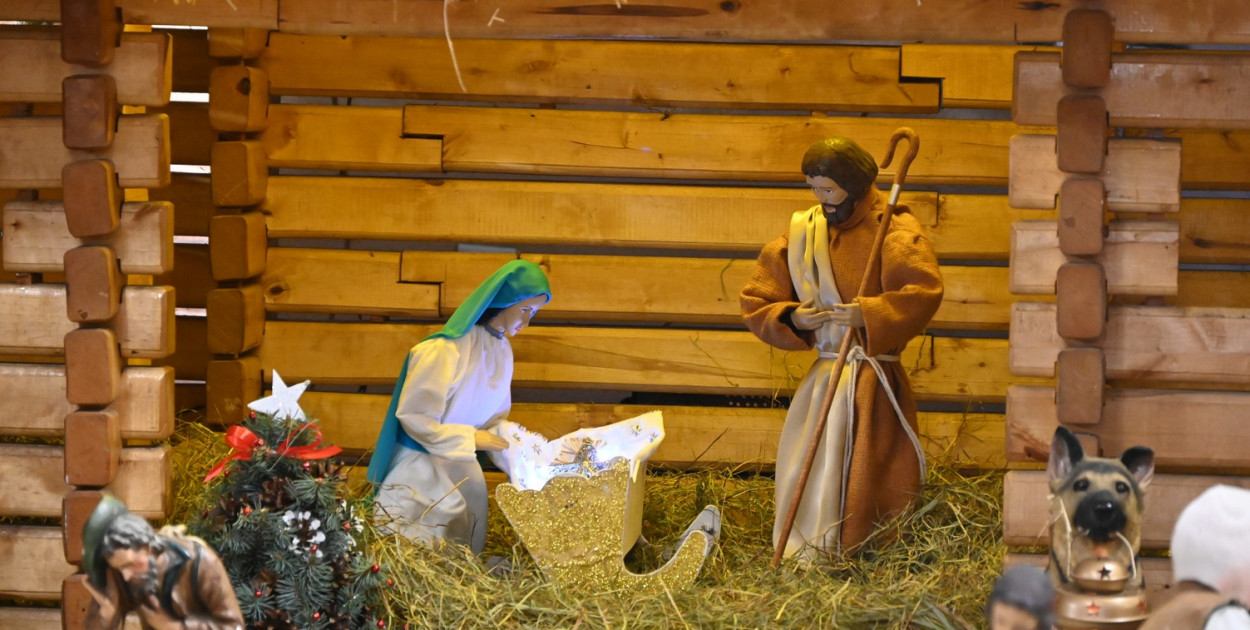 Szopki w kościołach w Tarnobrzegu